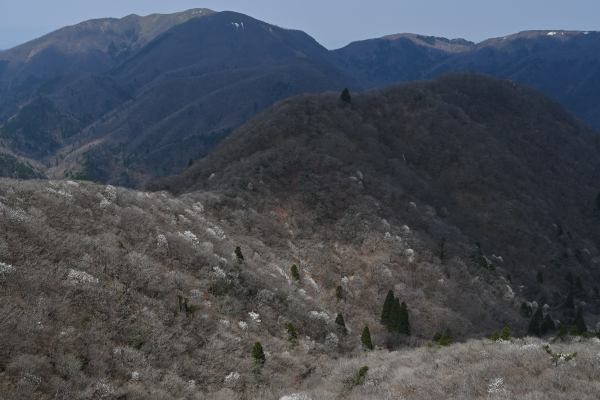 写真13 望湖台から 写真13 望湖台から