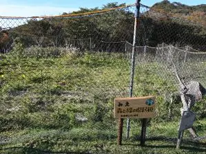 写真6 みえ森と緑の県民税 写真6 みえ森と緑の県民税