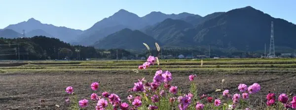 写真1 御在所岳・鎌ヶ岳 写真1 御在所岳・鎌ヶ岳