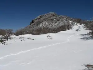 写真7 御在所岳 写真7 御在所岳