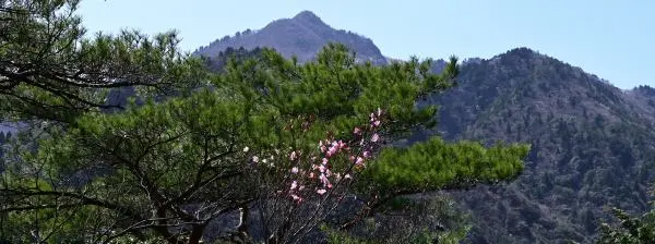 写真9 御在所岳1212m標高点から三角点を見る 写真9 御在所岳1212m標高点から三角点を見る