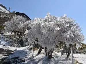 写真3 山頂にて 写真3 山頂にて