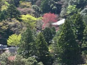 写真14 三嶽寺 写真14 三嶽寺