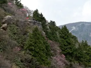 写真7 岩棚 写真7 岩棚