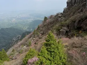 写真8 岩棚から 写真8 岩棚から