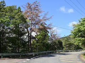 写真6 写真6