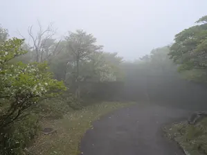 写真4 山頂遊歩道 写真4 山頂遊歩道