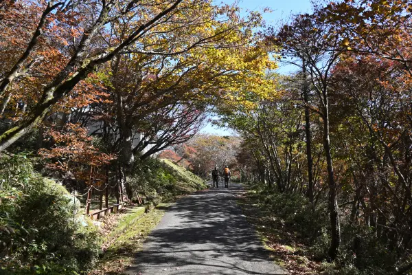 写真9 遊歩道にて 写真9 遊歩道にて