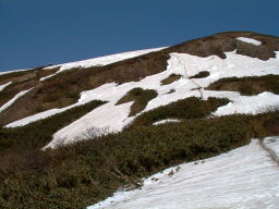 写真3 能郷白山山頂にて 写真3 能郷白山山頂にて