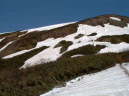 写真３ 能郷白山山頂にて