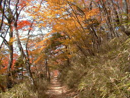 写真4 写真4