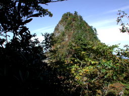 写真2 大日山 写真2