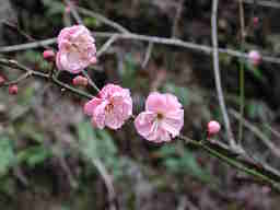 写真7 写真7