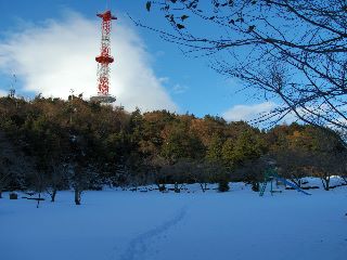 写真1 山頂 ヤング広場 写真1