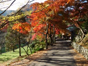 写真1養老公園 写真1