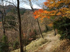 写真2養老山頂遊歩道 写真2