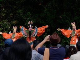 写真3 迦陵頻 写真3