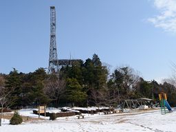 写真4 ヤング広場にて 写真4