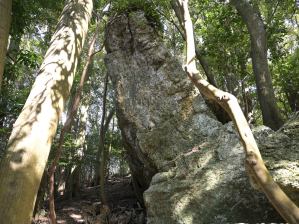 写真４ 石井神社旧跡の磐座