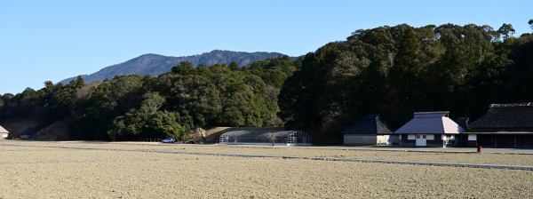 写真５ 神宮神田と朝熊ヶ岳