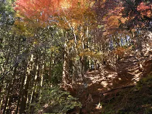 写真3 東コース6番標識を通過 写真3 東コース6番標識を通過
