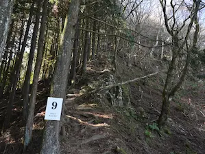 写真4 9番標識から登山道を見上げる 写真4 9番標識から登山道を見上げる