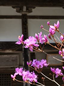 写真3 百済寺 写真3 百済寺