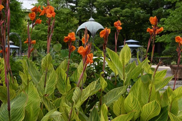 写真2 久屋大通庭園フラリエにて 写真2 久屋大通庭園フラリエにて