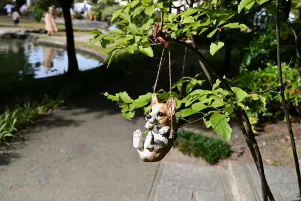 写真5 久屋大通庭園フラリエにて 写真5 久屋大通庭園フラリエにて