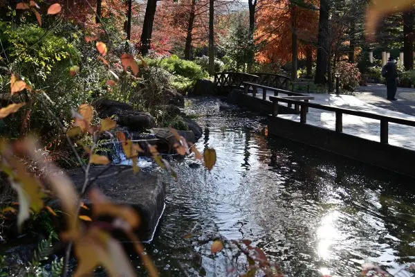 写真2 久屋大通庭園フラリエにて 写真2 久屋大通庭園フラリエにて