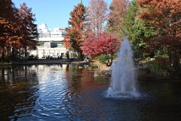 写真3 久屋大通庭園フラリエにて 写真3 久屋大通庭園フラリエにて