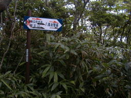 写真 ひどい標識