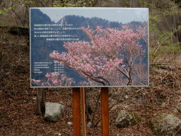 写真 三ツ口谷・御滝標識