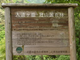 写真 入道ヶ嶽・冠山国有林