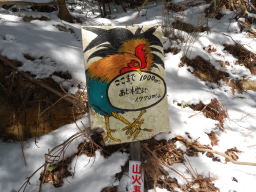 写真 野登山坂本道：距離標識