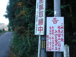 写真 松茸留山
