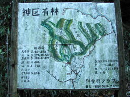 写真 神区有林