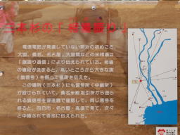 写真 三本杉の「相場振り」